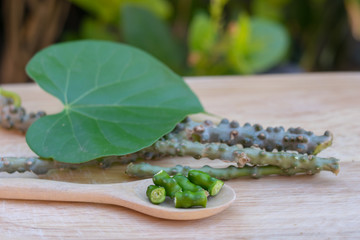 Tinospora crispa,heart leaved moonseed on wooden board