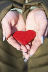 Obraz premium Heart in the hands