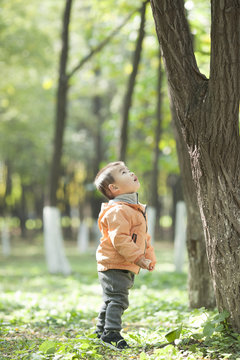 Cute Baby Boy Looking Up At A Tree