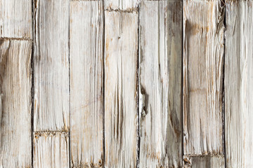 Wood Background, White Wooden Planks Texture, Grained Timber Wall with Rough Woodgrain Plank