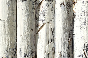Wood Log Background, White Colored Wooden Planks with Bark, Textured Timber Wall