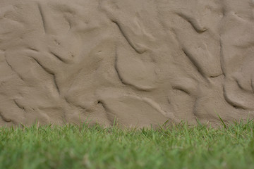 clay wall  whith a grass