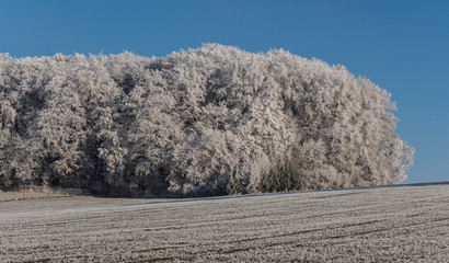Winter Landschaft