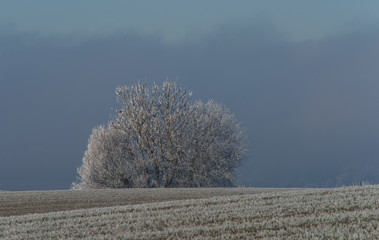Winter Landschaft