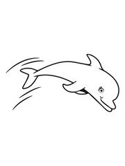 Delfin sweet dear