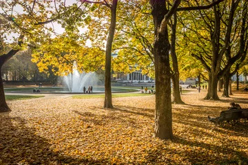 Foto op Plexiglas Autumn in Brussels © pcalapre
