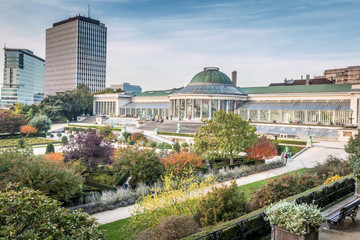Fototapeta premium Botanic garden in Brussels Belgium