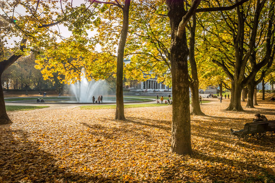 Autumn in Brussels