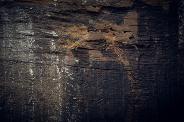 black dark wood background, wooden board rough grain surface