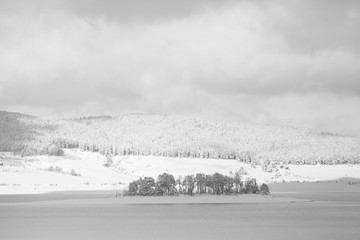 bw winter landscape