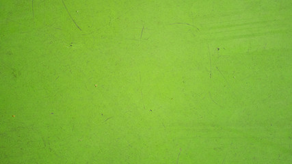 Abstract green wall texture background.