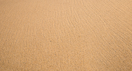 sand texture on the beach.