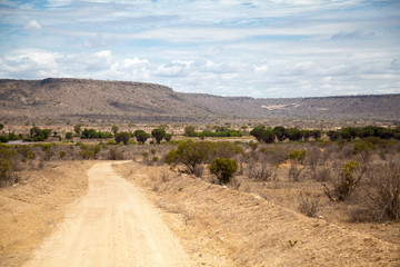 Naklejka premium Road in Kenya, savannah with mountains and blue sky