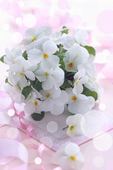 Bouquet of beautiful white viola flowers on a pastel pink background