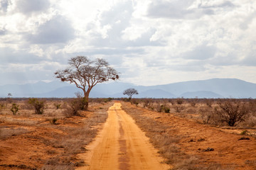 Fototapeta na wymiar Landscape of Kenya, red road