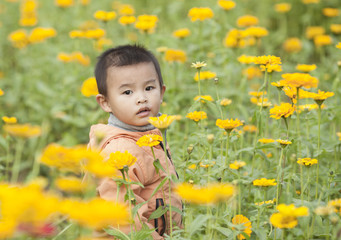 Cute Chinese baby boy playing in blossoms