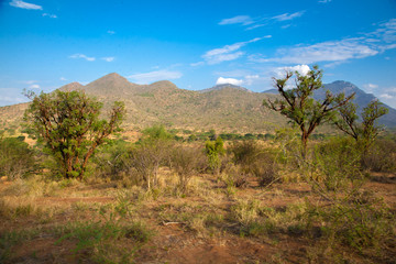 Landscape from Kenya, hills and trees with a blue sky