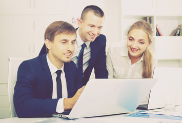 Fototapeta premium Business colleagues occupied with laptops