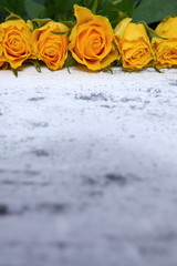 Róże dla romatyczności © fotodrobik