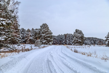 snowy road through the winter forest