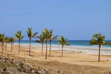 Obraz na płótnie Canvas Beach in Al Mughsayl,Dhofar, Oman