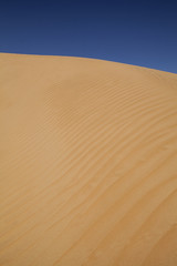The empty quarter and sand dune in Oman old desert Rub al Khali

