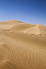 Fototapeta na wymiar The empty quarter and sand dune in Oman old desert Rub al Khali