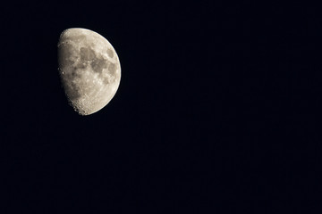 The moon in the night sky in winter