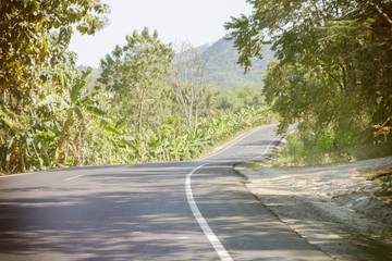 Fototapeta na wymiar The road with trees beside the way.