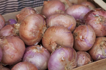 Onions in a street market