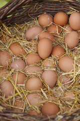 Chicken eggs in a street food market