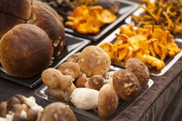 Boletus, Chanterelle in a street market. Vic, Catalonia, Spain.
