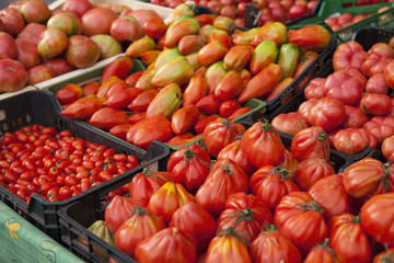 Organic tomatoes for sale in a street market. Vic, Catalonia, Spain.