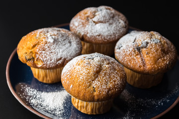 Chocolate muffins with powdered sugar on dark blue plate.