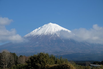 富士山