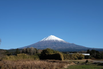 富士山