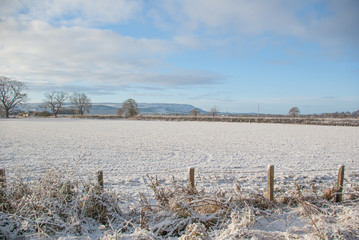 snowy fields