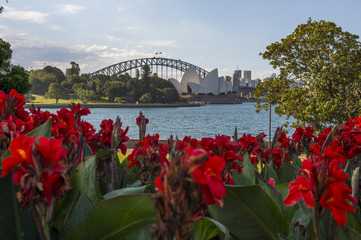 Sydney November 2016 : View in Botanic garden look toward to Syd