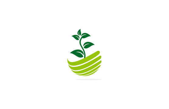 globe plant medicine logo
