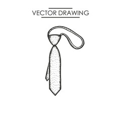 tie drawing. vector illustration
