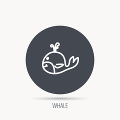Whale icon. Largest mammal animal sign. Baleen whale with fountain symbol. Round web button with flat icon. Vector