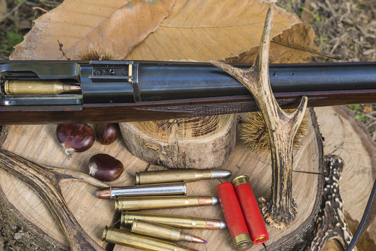 hunting equipment on stump outdoors