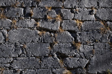 Natursteinmauer mit Grasbewuchs