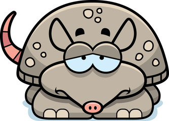 Sad Little Armadillo