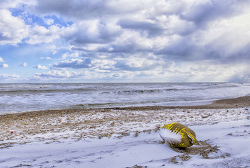 Boa su spiaggia innevata 