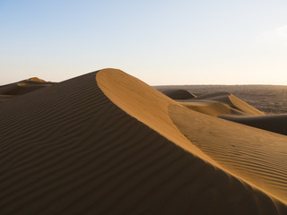 Fototapeta na wymiar Mittlerer Osten , Arabien, Sultanat Oman,Al Raka, Sanddünen in der Abendsonne in der Wüste Rimal Al Wahiba oder Wahiba Sands
