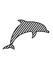 Delfin design