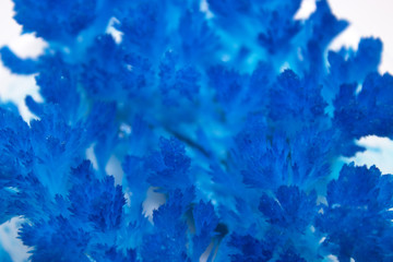 Fototapeta na wymiar on a white background abstract blue crystal sharp edges