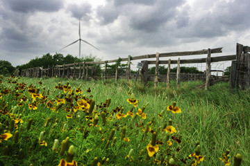 wind power