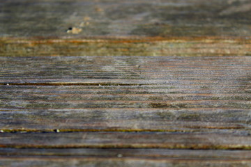 Wooden bench close up